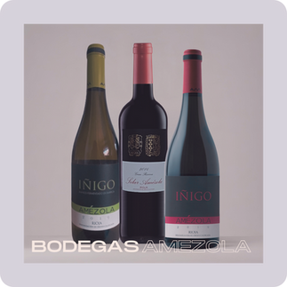 Iñigo White, Solar and Iñigo Red wine bottles