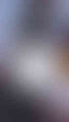 Bottle of Chardonnay wine. Bonkers photo by The Wine Snug