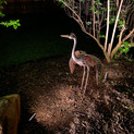 NightSculptures Outdoor Lighting Dallas