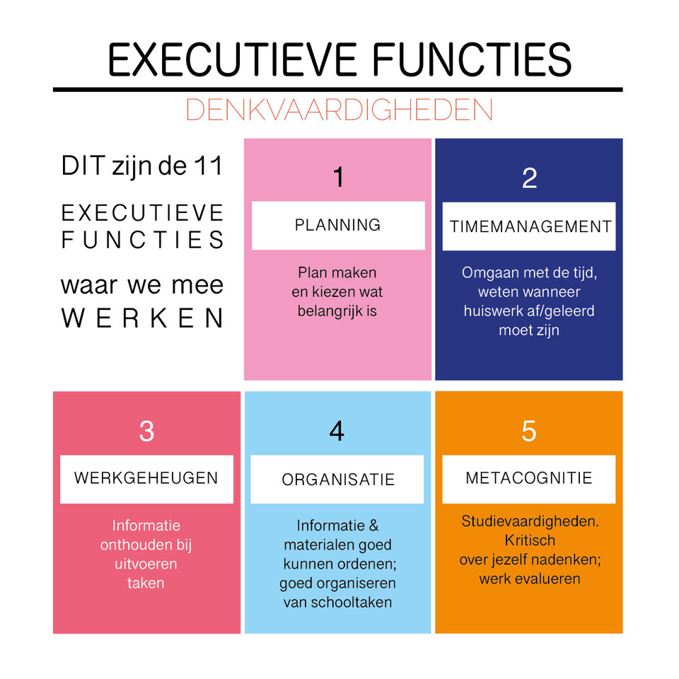 Executieve Functies Onderwijscentrum Opnij Den Haag