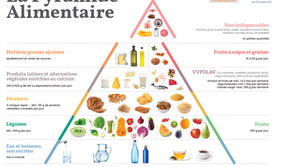 La toute nouvelle pyramide alimentaire 2020: plus équilibrée et plus durable