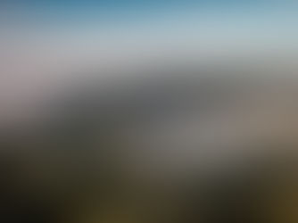 Svensk kvalitet i de småländska skogarna