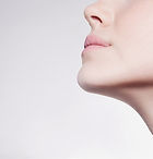 Modell Lower Gesicht