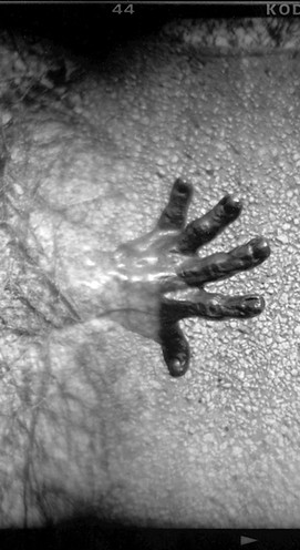Holga camera photograph black and white hand Washington DC Smithsonian sculpture garden artwork