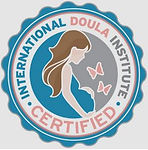 IDI Logo.JPG