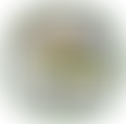 Tigray Development Association in North America (TDA‑NA) Urgent Humanitarian Relief Donation for Tigray Refugees in Sudan