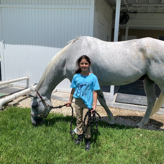 Lessons at Strong Current Stables