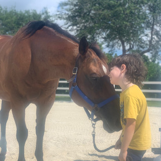 Lessons at Strong Current Stables