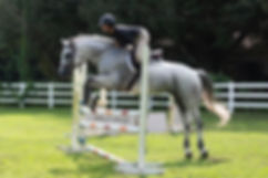 sam and classic training, show stables, horse show stables, riding instructor, horseback riding lessons, riding lessons, homestead Florida, boarding stables, horse trainer, riding instruction, strong current stables, riding stables in south Florida, south Florida, Miami area, Florida keys, key largo, pinecrest, Palmetto Bay, Kendall, coral gables, coconut grove, Miami dade, kids riding lessons, adult horseback riding lessons, hunter jumper, hunter jumper show barn, hunter jumper lessons, hunter jumper show stables,