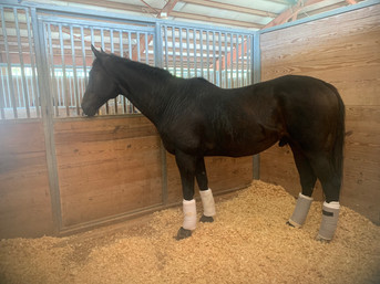 Oatmeal waiting for his turn to show!