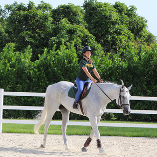 Lessons at Strong Current Stables