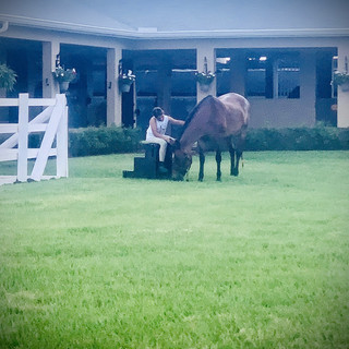 Lessons at Strong Current Stables