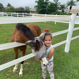 Lessons at Strong Current Stables