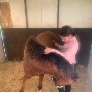Lessons at Strong Current Stables