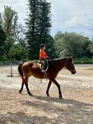 Fun in the saddle