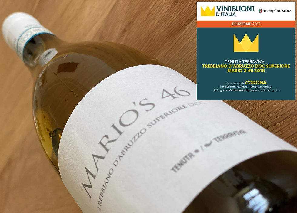 Miniatura: Trebbiano d'Abruzzo DOC Superiore "Mario's 49" - Tenuta Terraviva 2021 BIOLOGICO