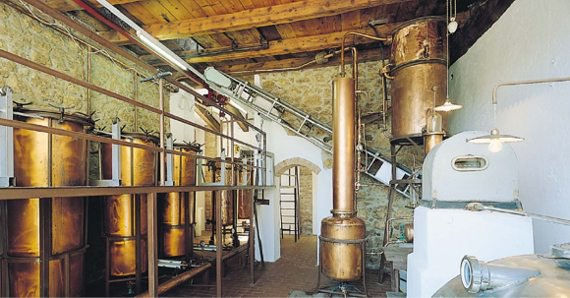 Miniatura: Grappa Nero Audace - Distilleria Schiavo 1887