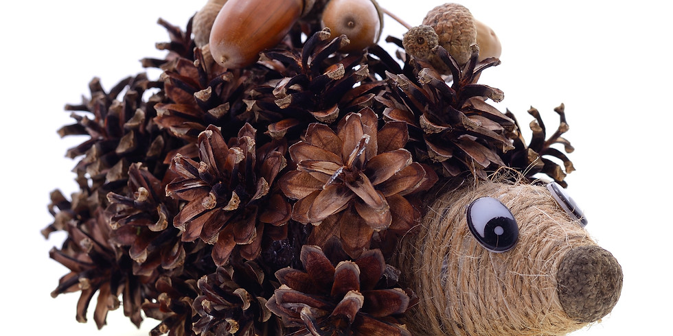 First Thursday - Nature Ornament Making