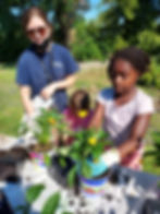 Budding Botanists