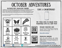 Screenshot 2020-10-30 125755.jpg