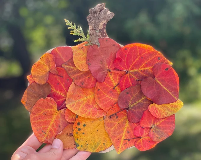 Nature for Kids: Fantastic Fall