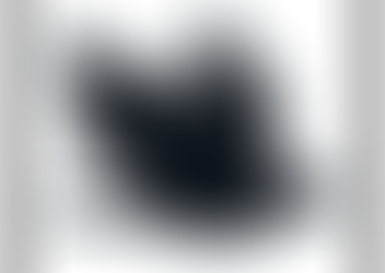 Raven wings in flight