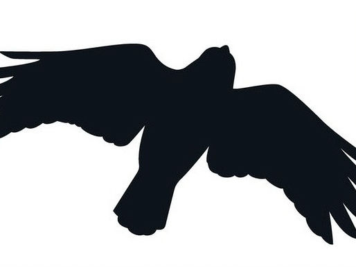 Leadership Alignment in Crypto: Solving the Right Problems in the Business