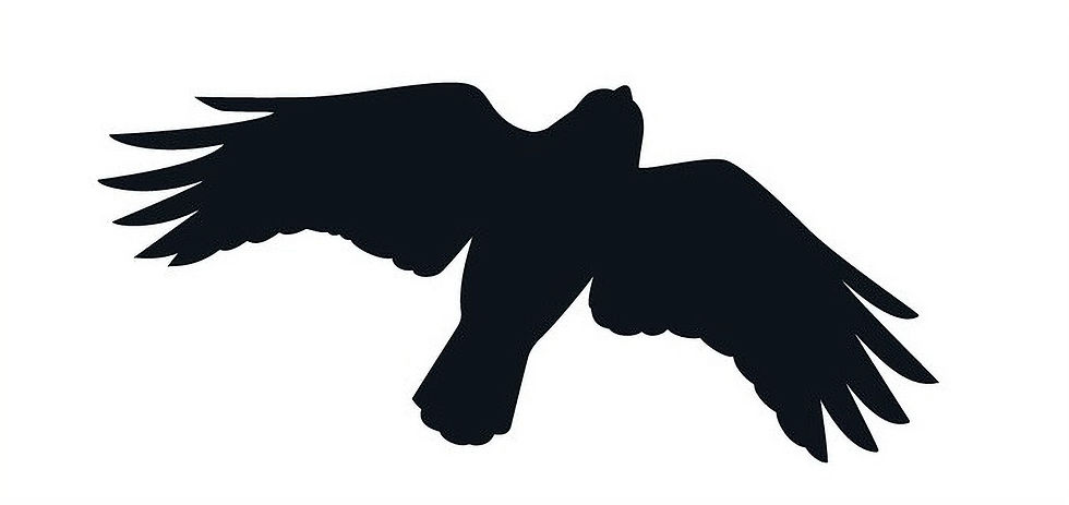 Leadership Alignment in Crypto: Solving the Right Problems in the Business