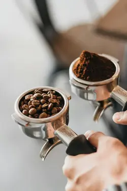 De la cosecha a la taza, con perfección