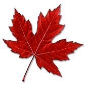 Maple Leaf
