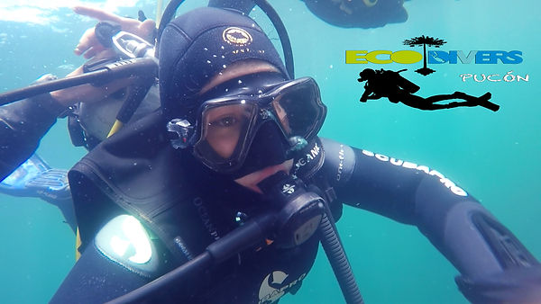 buceo en punta de choros