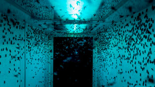 Annunciati i vincitori del Italian Sustainability Photo Award 2023