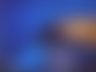 Ecco a voi le prime foto scattate con l'Honor 20 Pro
