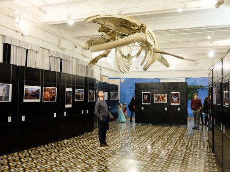 Ritratto di un Pianeta Selvaggio, la mostra fotografica di Simone Sbaraglia al Museo di Zoologia di 
