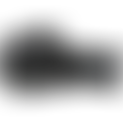 La nuova M50 MarkII: uno sguardo rivolto al presente