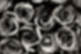 shutterstock_226639315.jpg