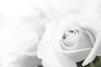shutterstock_160942955.jpg