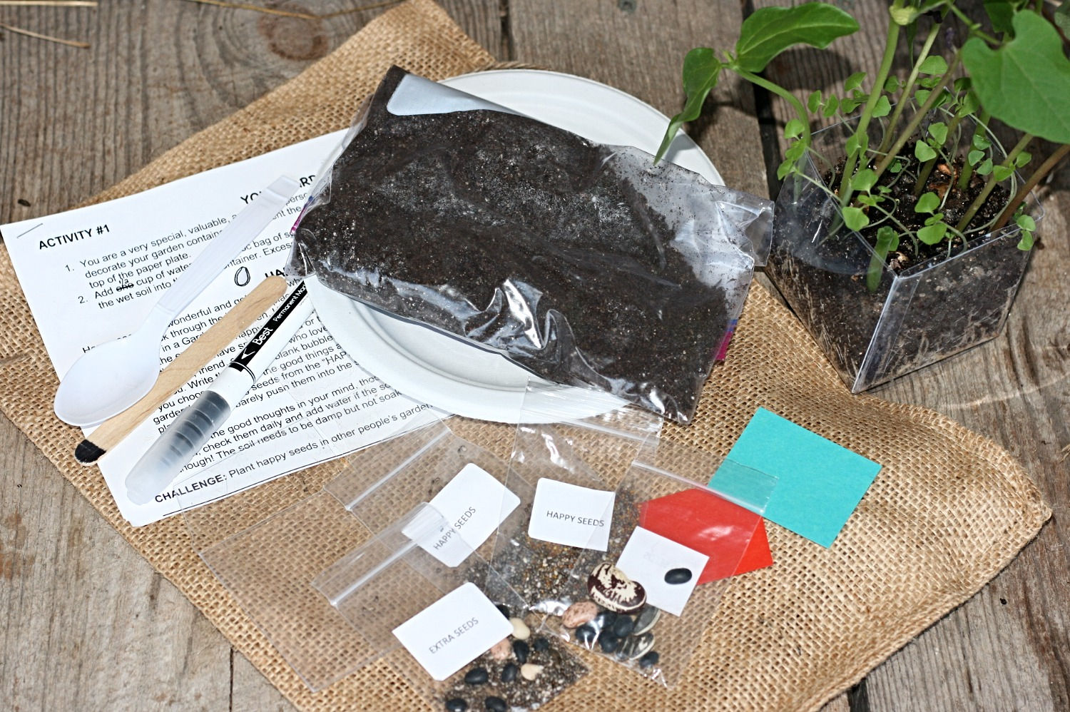 Activity Kit: Charlie and the Yucky, Stinky, No-Good Fruit (Individual)