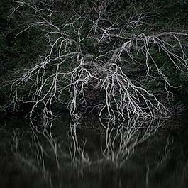 Reflection of my state of mind