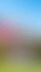 Doesn’t the Ohio lottery fund our schools?