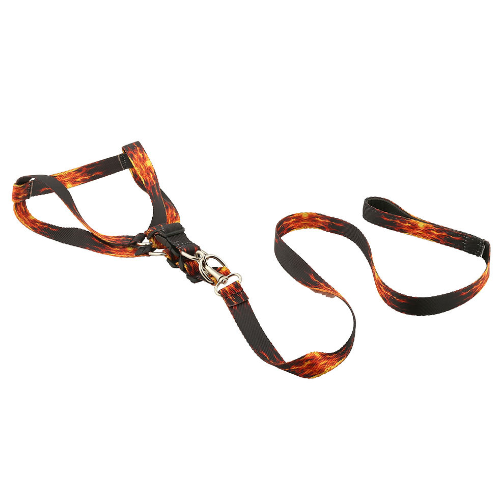 Miniature : Reflective Dog Harness with Leash