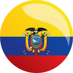png-transparent-flag-ecuador-flag-of-ecuador-pin-badges-national-flag-button-yellow-circle
