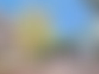 Washington Street Mall Named One of America’s Top Shopping Destinations