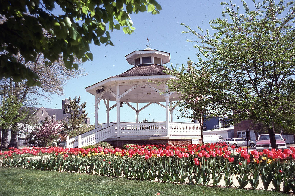 White gazebo surrounded by vibrant red and yellow tulips, with a blue sky and trees in the background, creating a serene park scene.