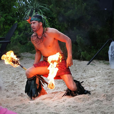 Hawaiian Luau photo