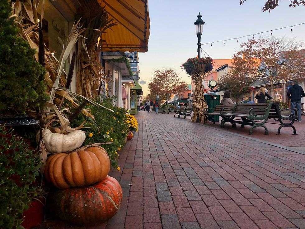 Fall in Love with Cape May
