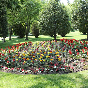 The Gardens of Cape May Tour photo