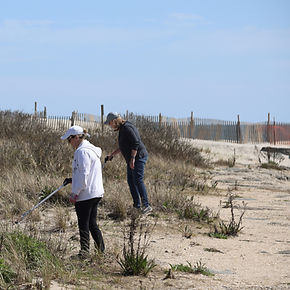 Beach Clean Up photo