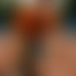 Welcome to Lifted: Where Mental Strength Meets Peak Performance