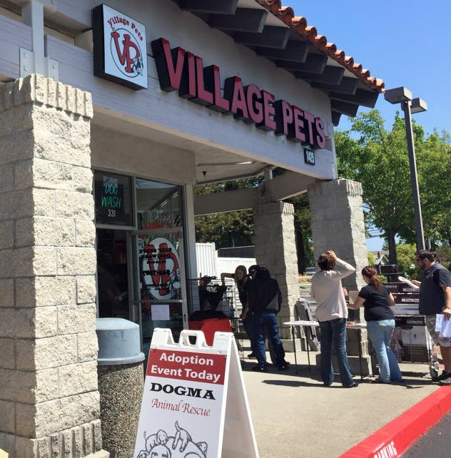 Village Pets & Supplies